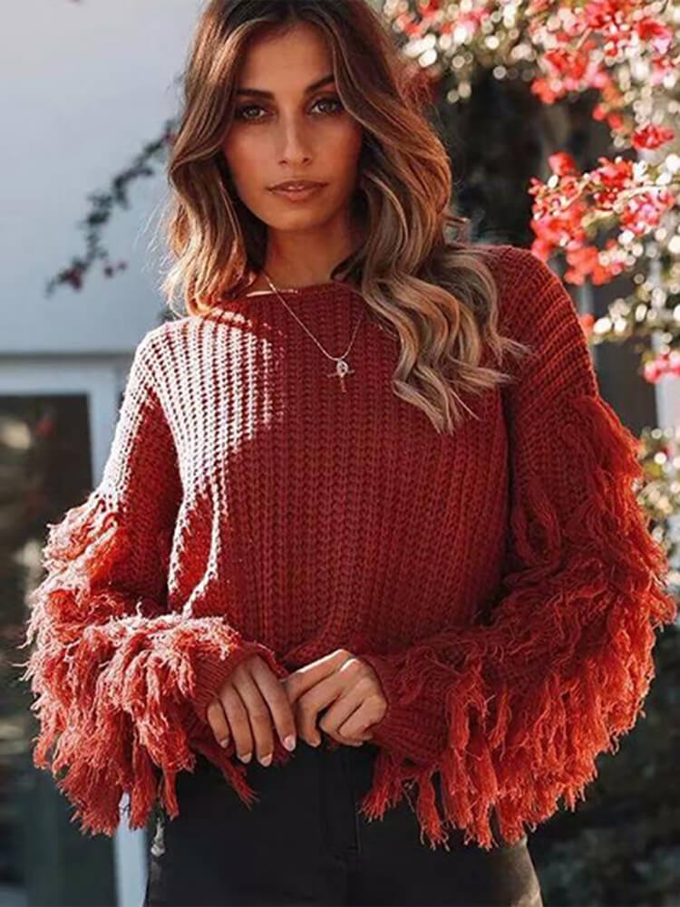 Knit Long Sleeve Tassel Bodycon Sweater Tiynon