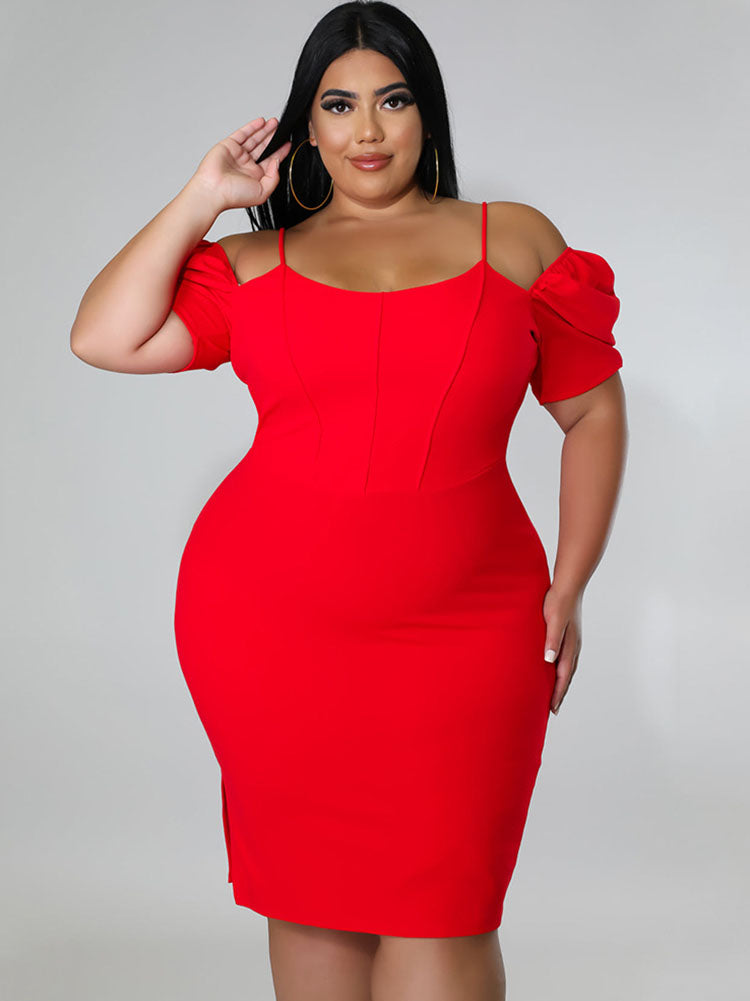 Plus Size Puff Sleeve Mini Dresses Tiynon