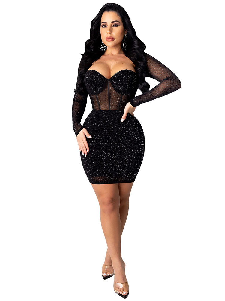 Bodycon Long Sleeve Mesh Sequin Min Dresses