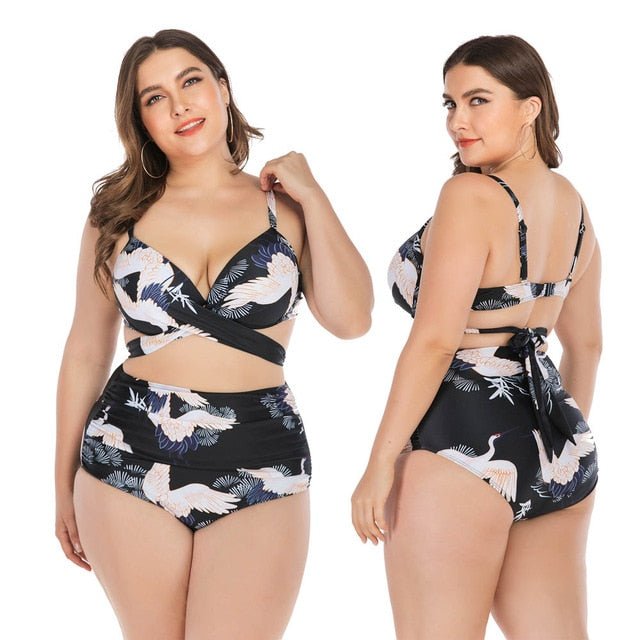 Mia Plus Size Bikinis